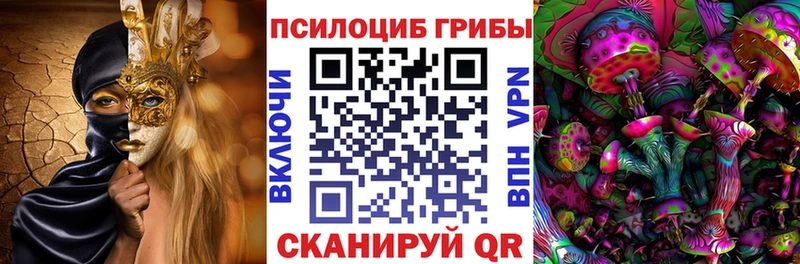 Псилоцибиновые грибы мицелий  даркнет сайт  Багратионовск 